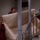 My Favorite Scene: Friends Season Five (1999) "Moving the Couch....PIVOT!"